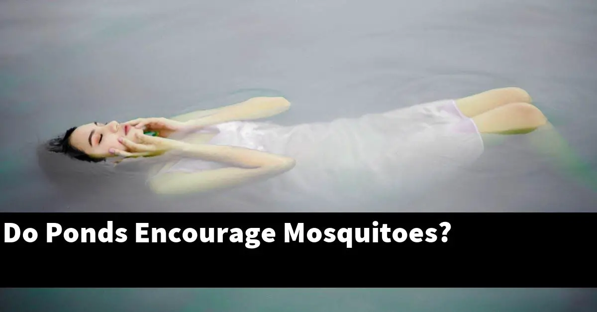 Do Ponds Encourage Mosquitoes?