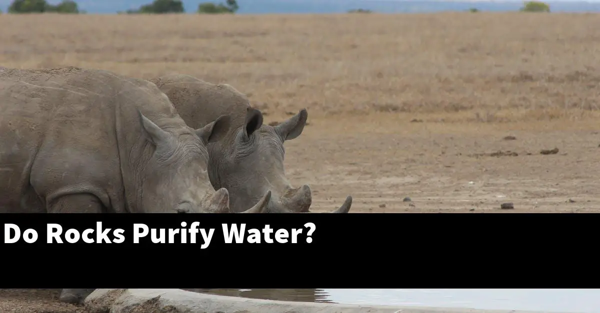 Do Rocks Purify Water?