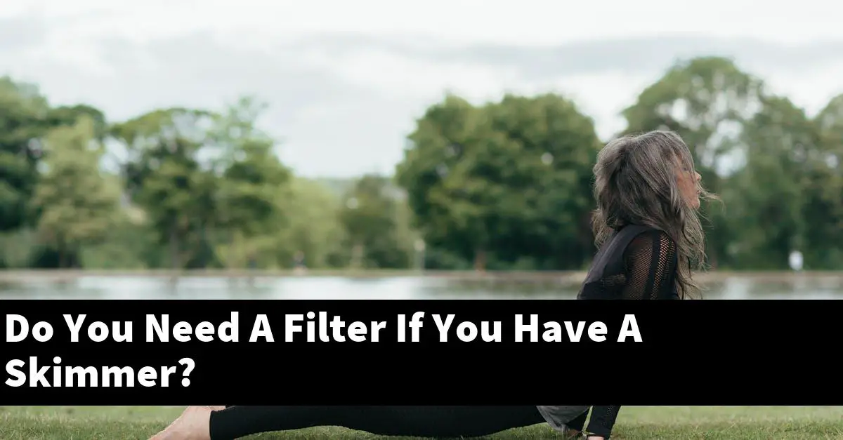 Do You Need A Filter If You Have A Skimmer?