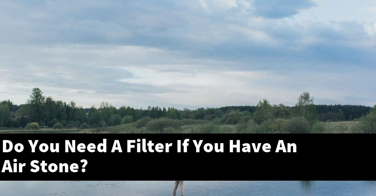 Do You Need A Filter If You Have An Air Stone?