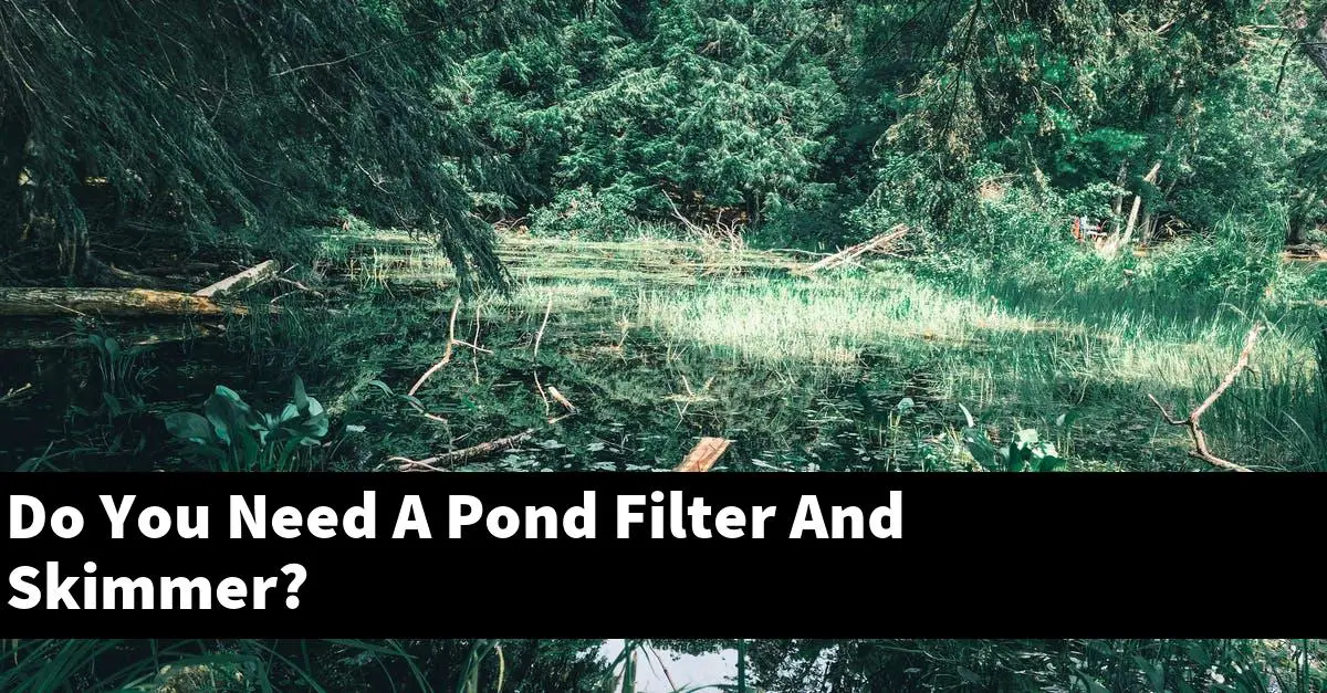 Do You Need A Pond Filter And Skimmer?