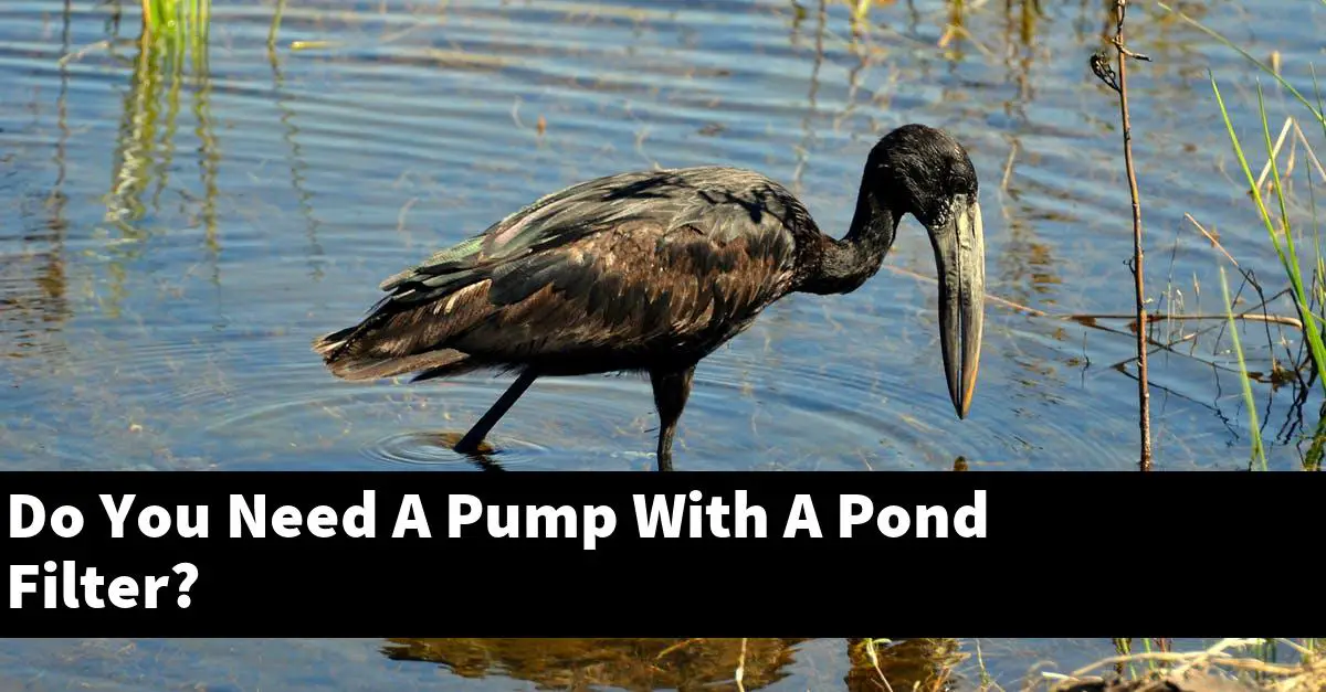 Do You Need A Pump With A Pond Filter?