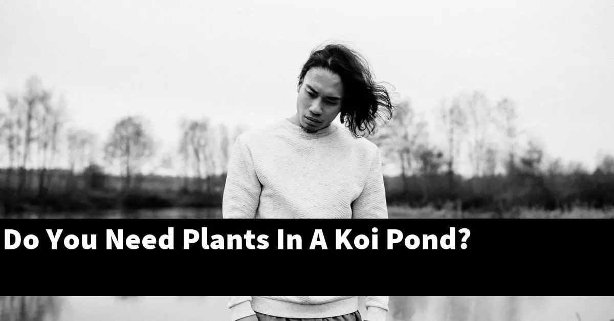 Do You Need Plants In A Koi Pond?
