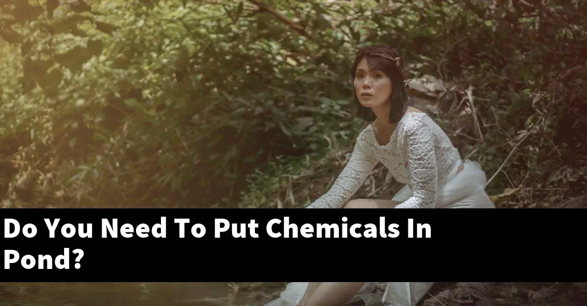 Do You Need To Put Chemicals In Pond?