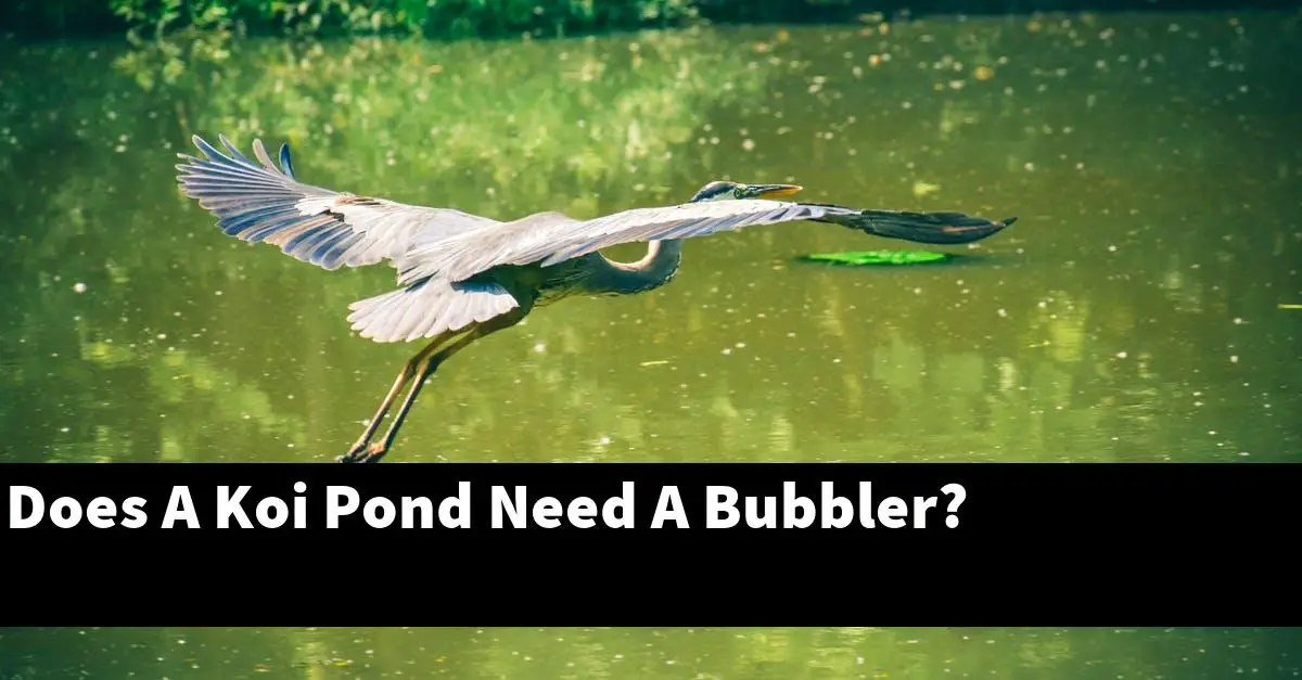 Does A Koi Pond Need A Bubbler?