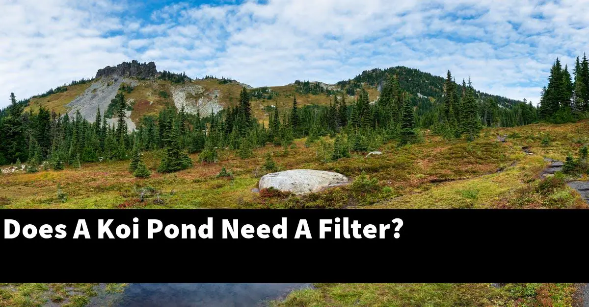 Does A Koi Pond Need A Filter?