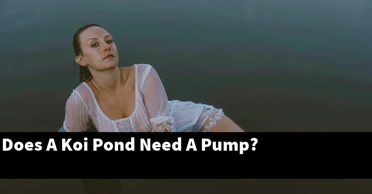 Does A Koi Pond Need A Pump?