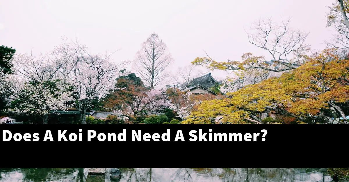Does A Koi Pond Need A Skimmer?