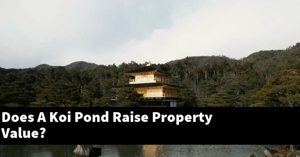 Does A Koi Pond Raise Property Value? [2024 Guide] Gold Koi Fish