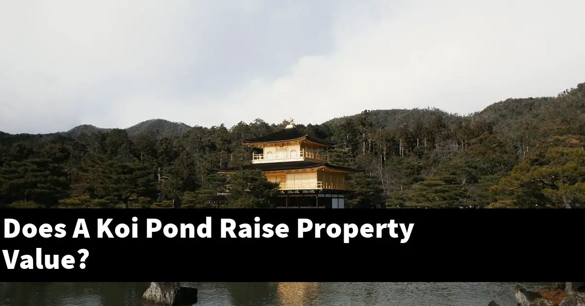Does A Koi Pond Raise Property Value?