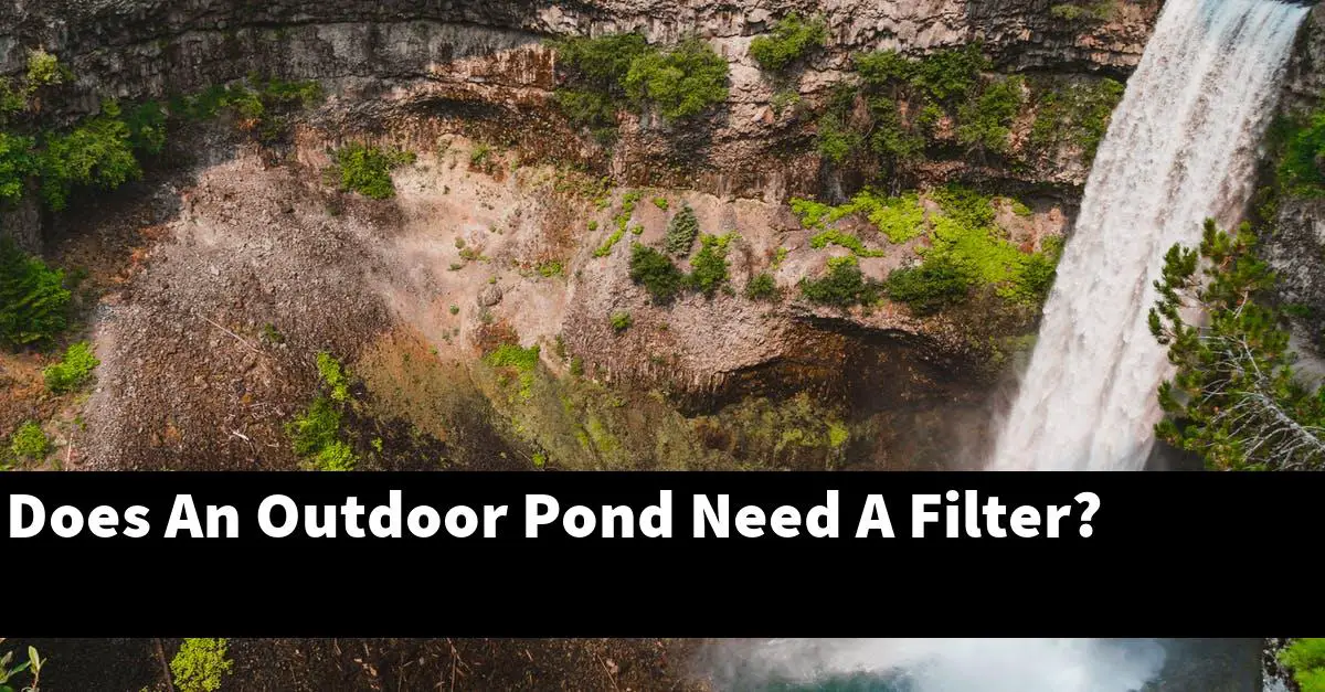 Does An Outdoor Pond Need A Filter?