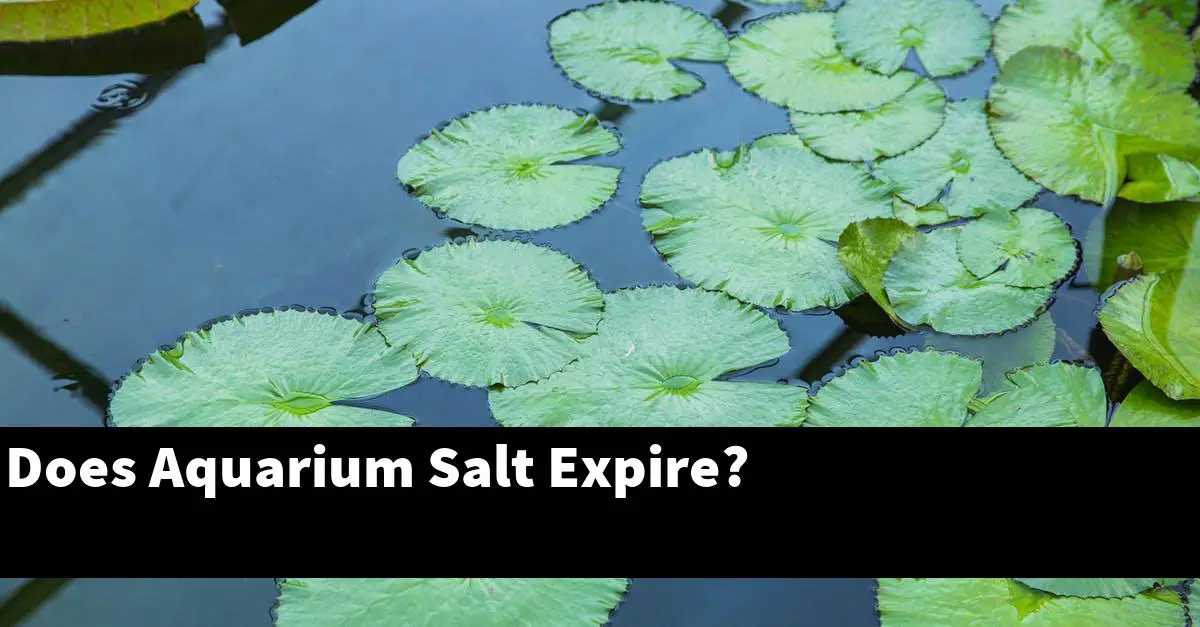 Does Aquarium Salt Expire?