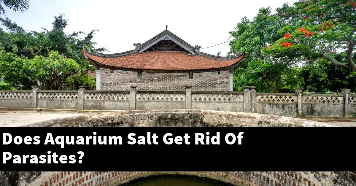 Does Aquarium Salt Get Rid Of Parasites?