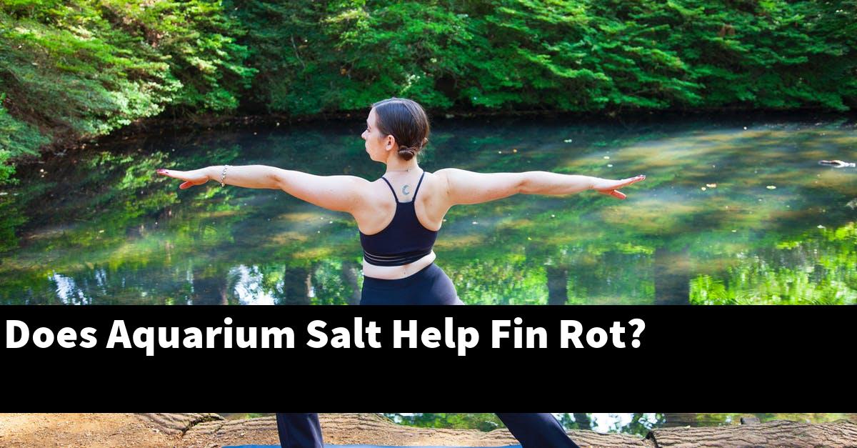 Does Aquarium Salt Help Fin Rot?