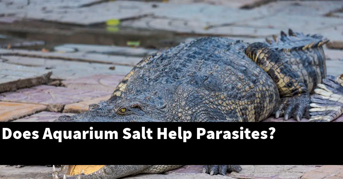 Does Aquarium Salt Help Parasites?