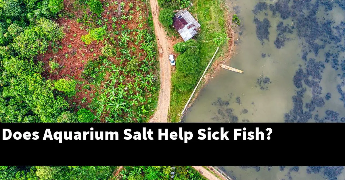 Does Aquarium Salt Help Sick Fish?