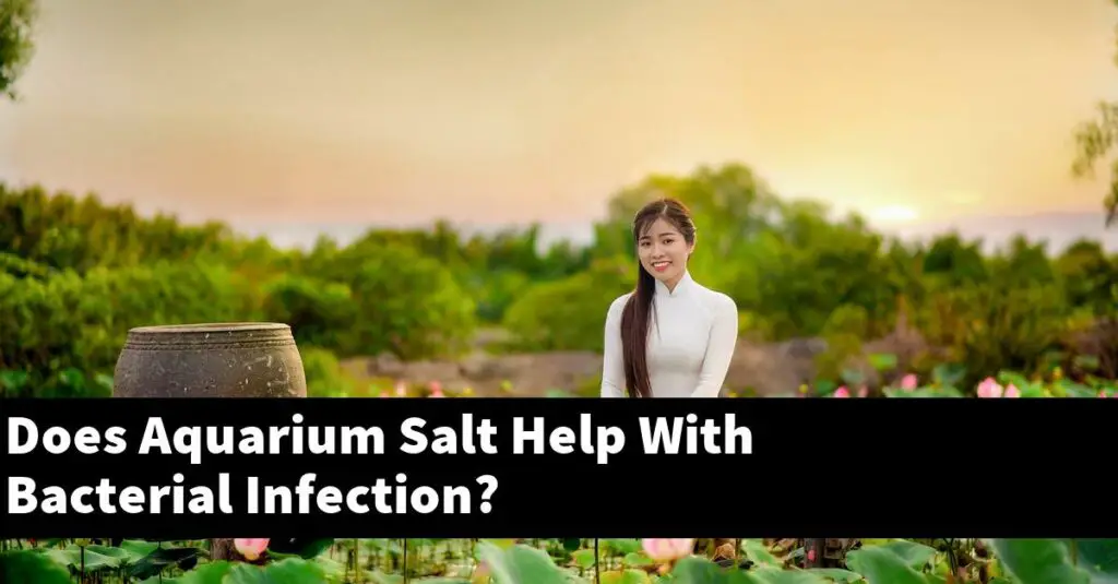 Does Aquarium Salt Help With Bacterial Infection? [2024 Guide] Gold