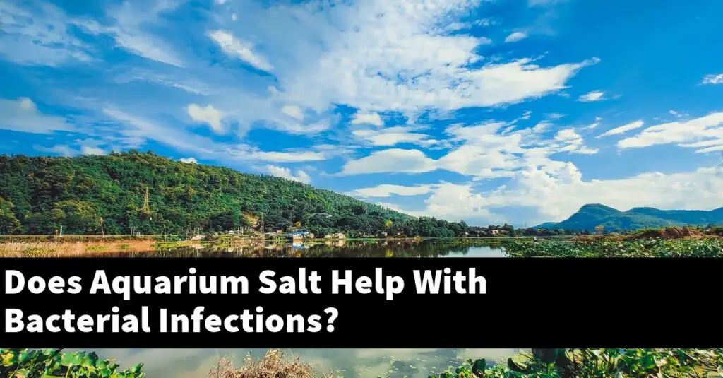 Does Aquarium Salt Help With Bacterial Infections? [2022 Guide] Gold