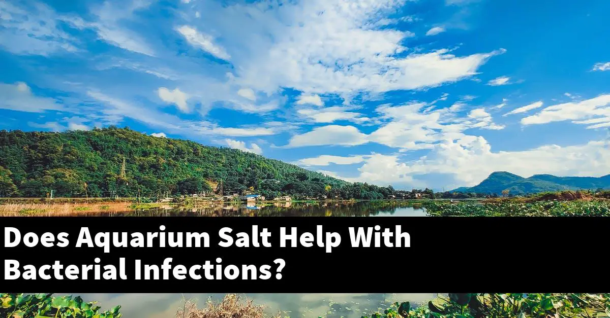Does Aquarium Salt Help With Bacterial Infections?