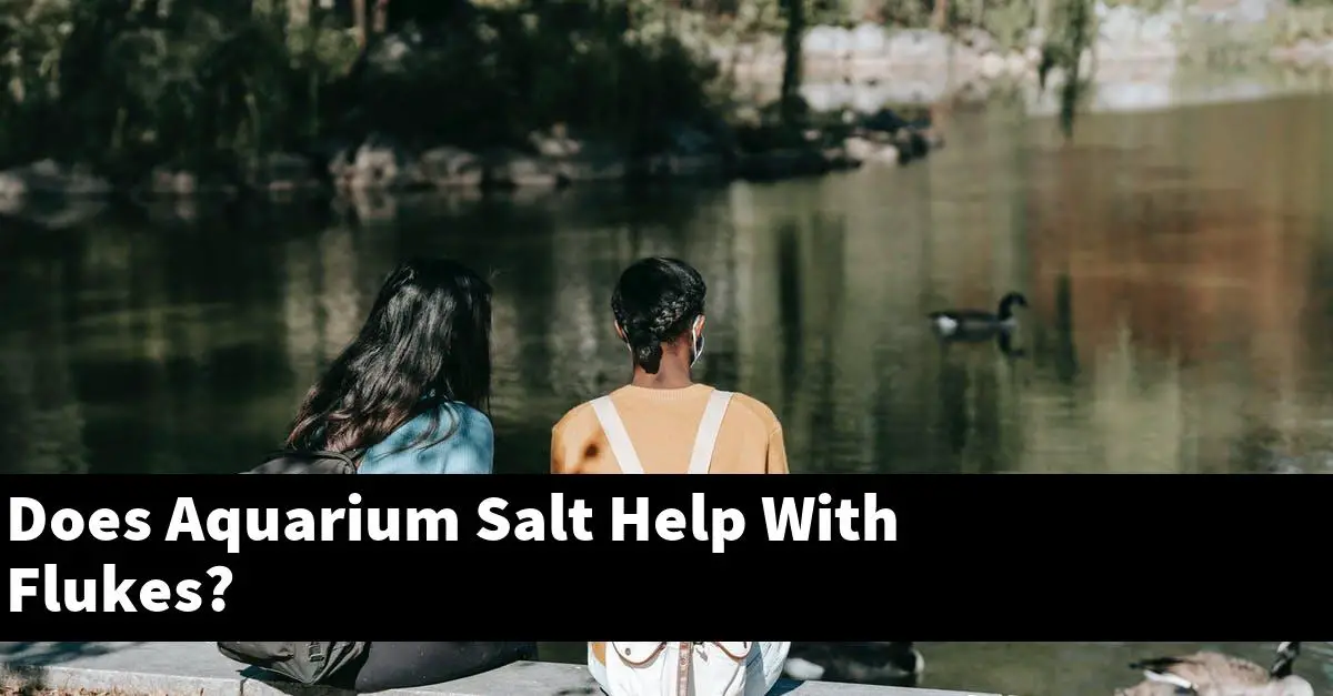 Does Aquarium Salt Help With Flukes?