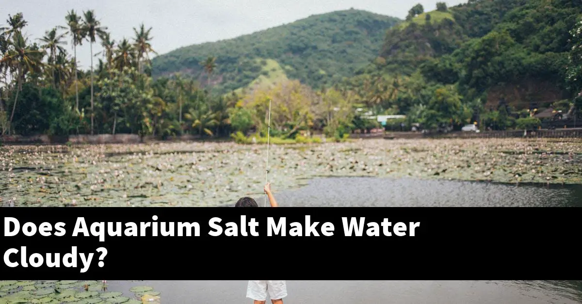 Does Aquarium Salt Make Water Cloudy?