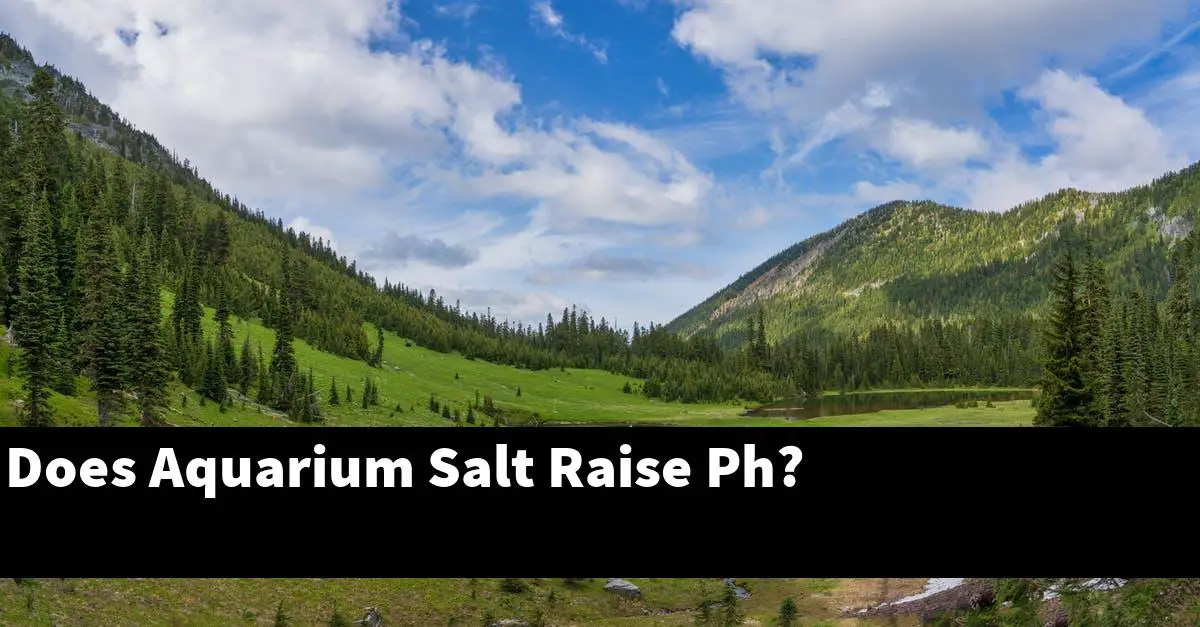 Does Aquarium Salt Raise Ph?