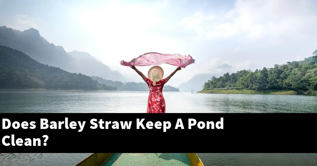 Does Barley Straw Keep A Pond Clean?