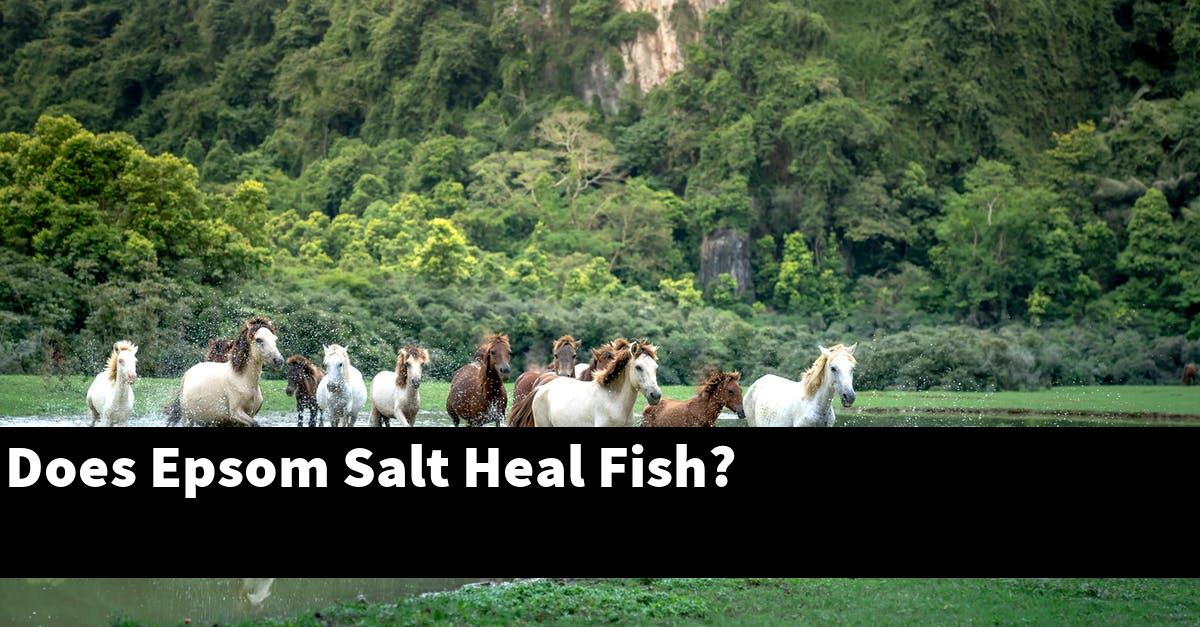 Does Epsom Salt Heal Fish?