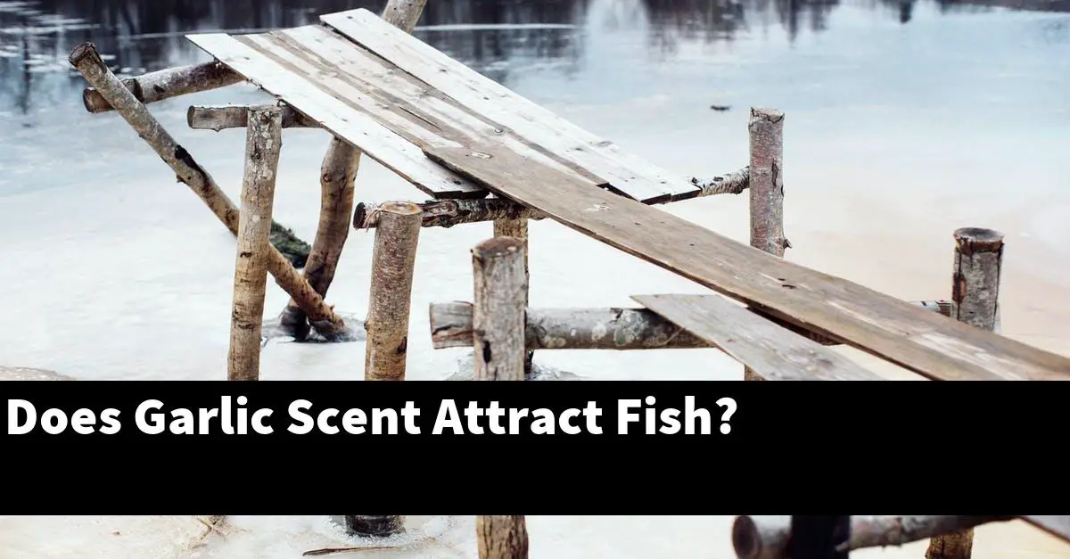 Does Garlic Scent Attract Fish?