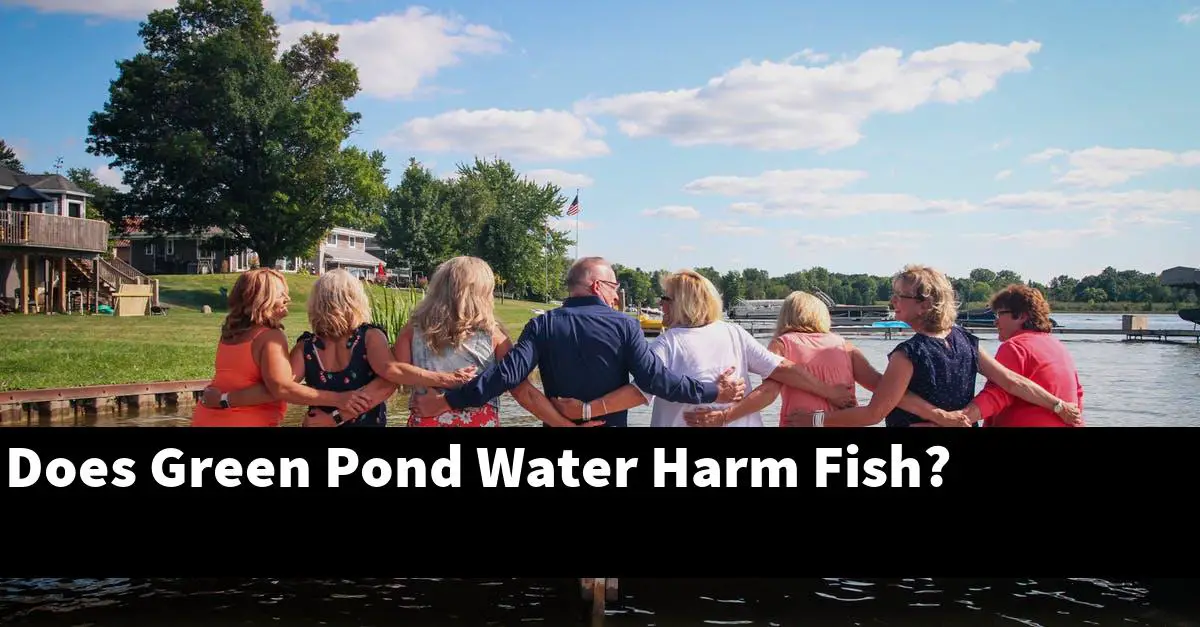 Does Green Pond Water Harm Fish?
