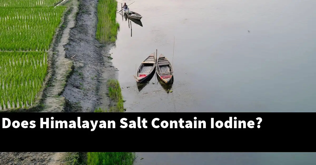 Does Himalayan Salt Contain Iodine?