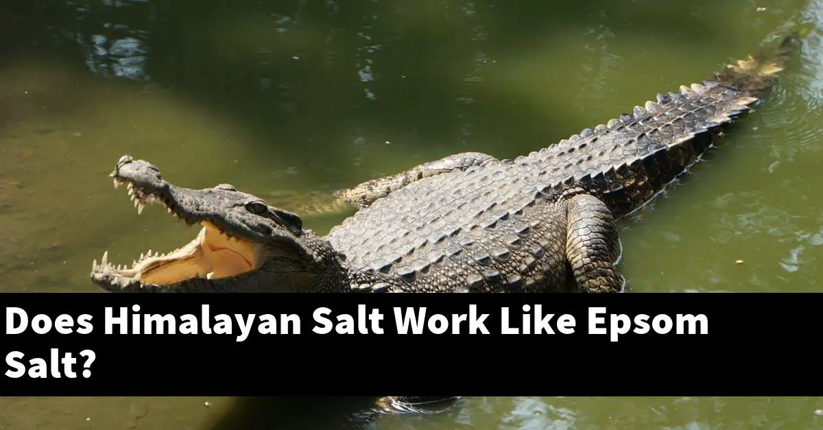 Does Himalayan Salt Work Like Epsom Salt?