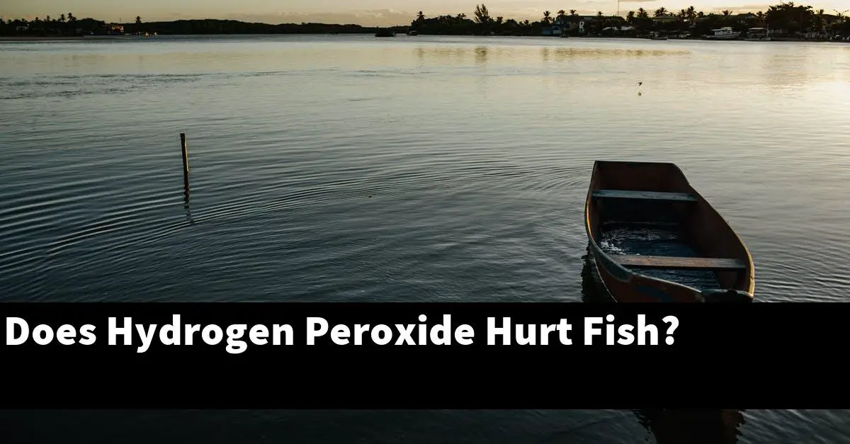 Does Hydrogen Peroxide Hurt Fish?