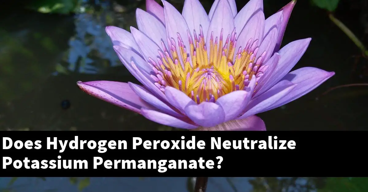 Does Hydrogen Peroxide Neutralize Potassium Permanganate?