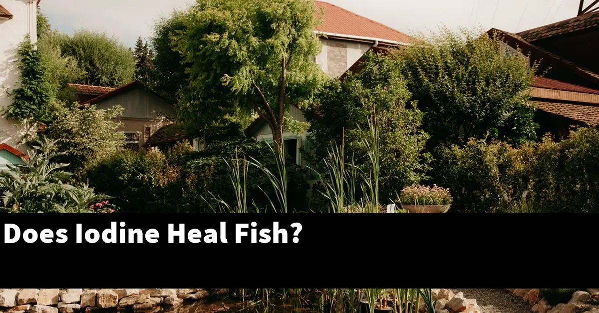 Does Iodine Heal Fish?