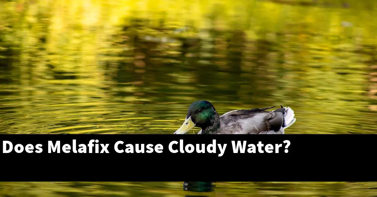 Does Melafix Cause Cloudy Water?