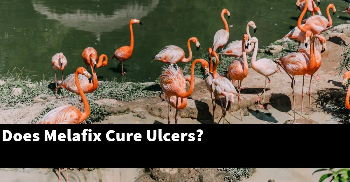 Does Melafix Cure Ulcers?
