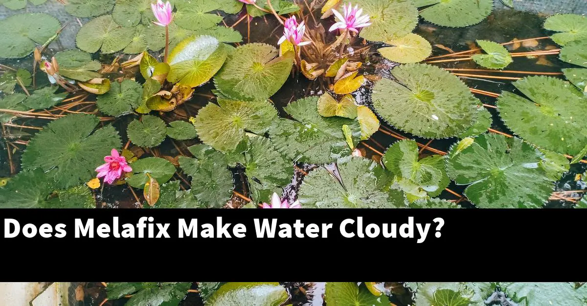 Does Melafix Make Water Cloudy?