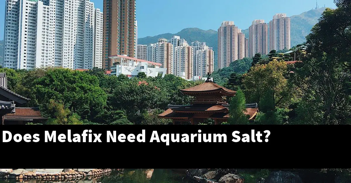 Does Melafix Need Aquarium Salt?