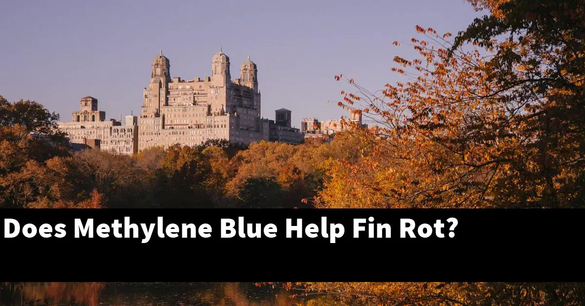 Does Methylene Blue Help Fin Rot?
