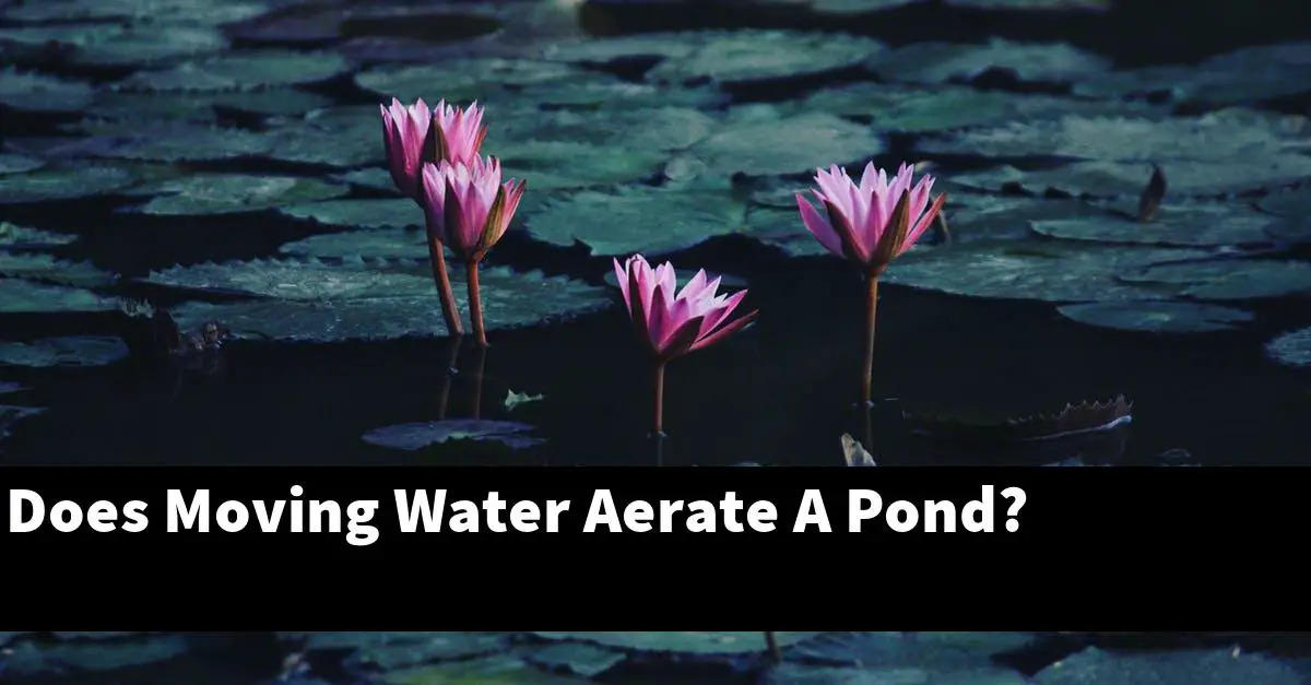 Does Moving Water Aerate A Pond?