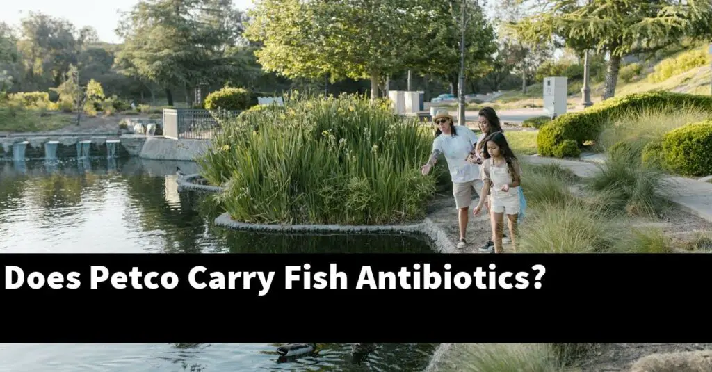 Does Petco Carry Fish Antibiotics? [2024 Guide] Gold Koi Fish