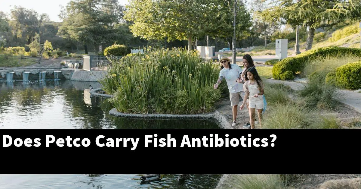 Does Petco Carry Fish Antibiotics?