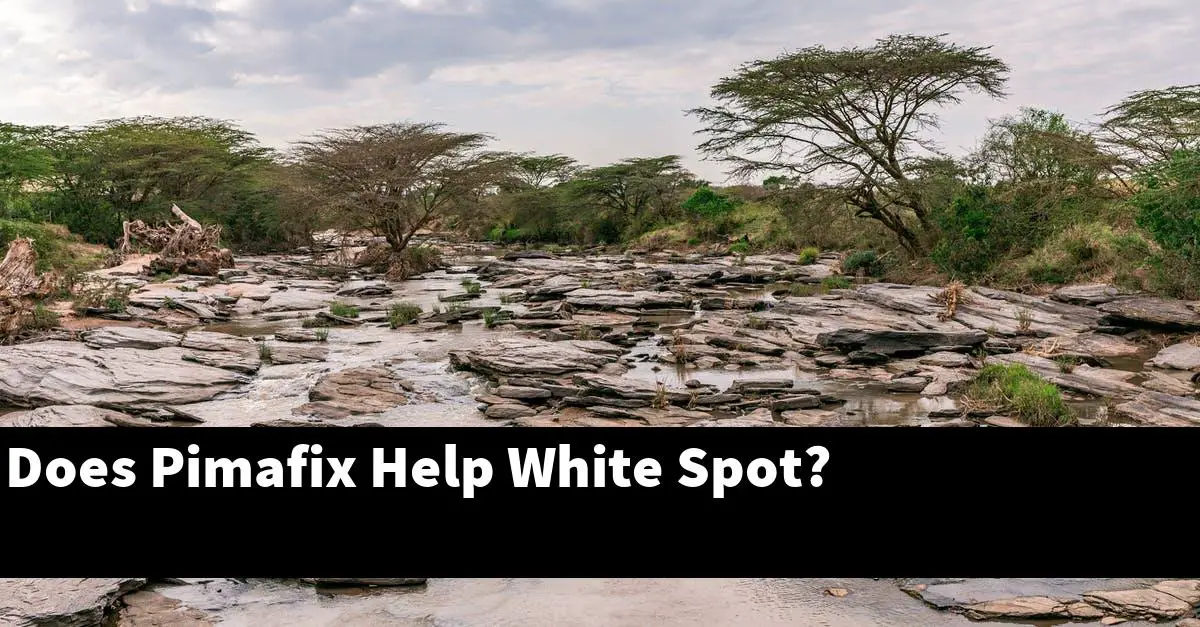 Does Pimafix Help White Spot?