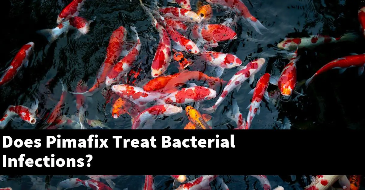 Does Pimafix Treat Bacterial Infections?