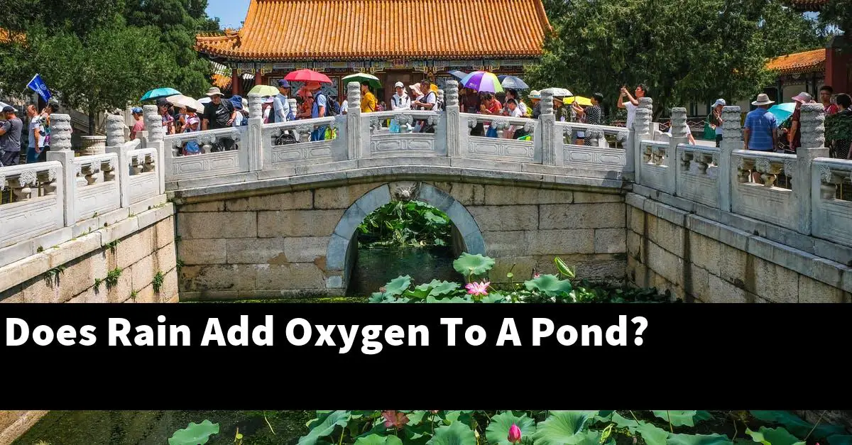 Does Rain Add Oxygen To A Pond?