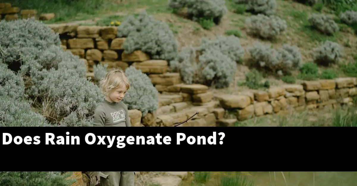 Does Rain Oxygenate Pond?