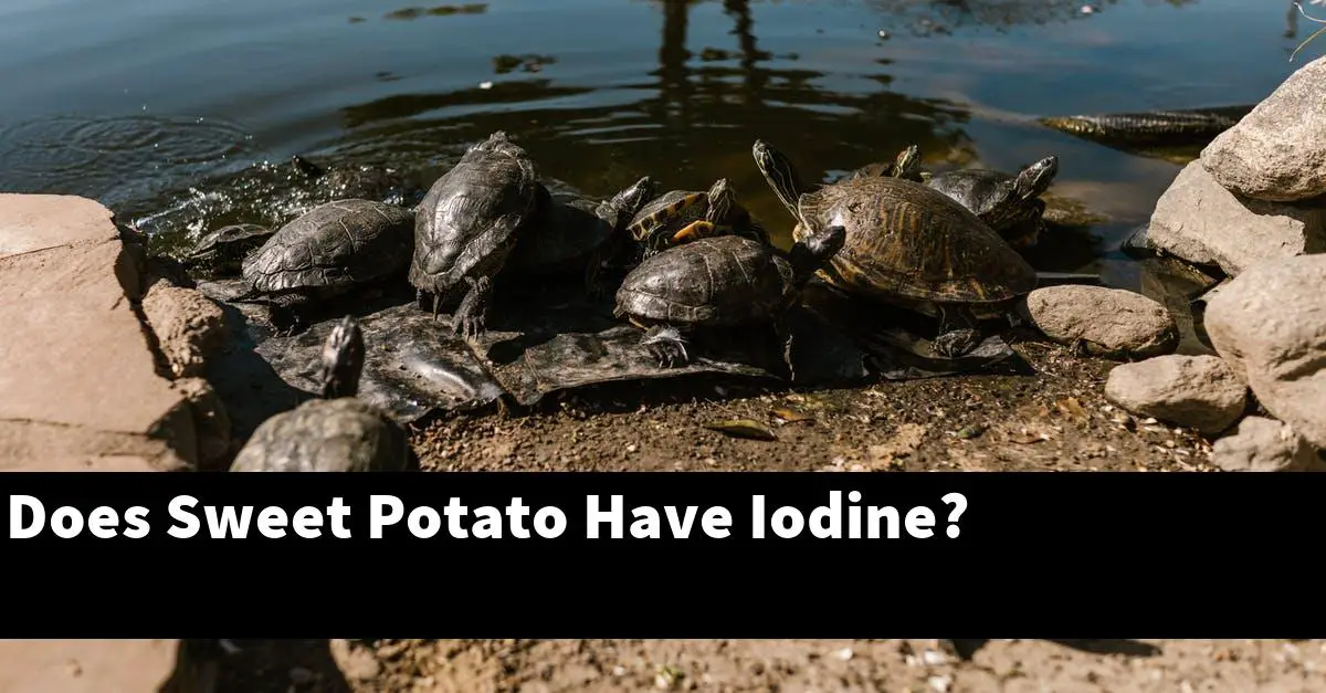 Does Sweet Potato Have Iodine?