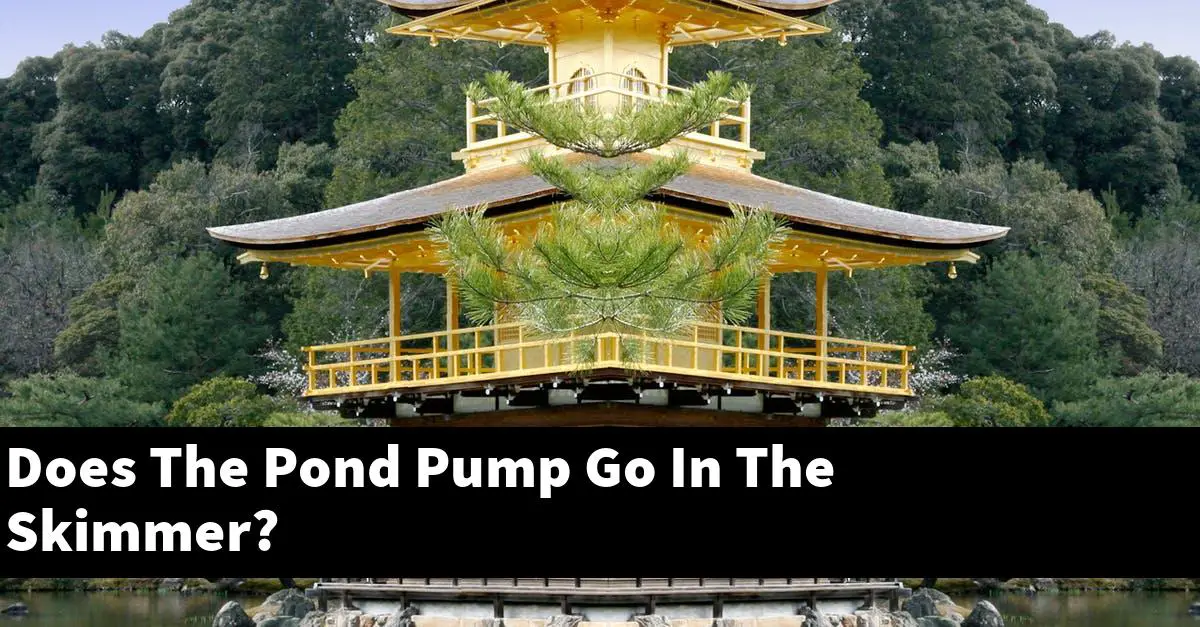 Does The Pond Pump Go In The Skimmer?