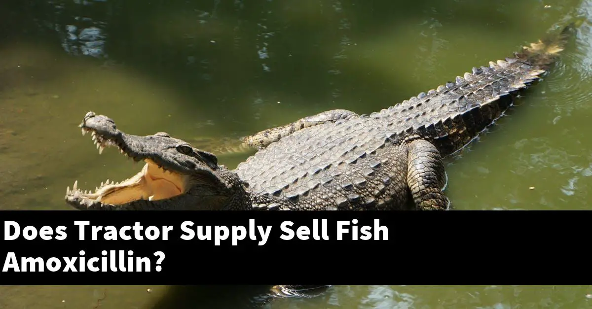 Does Tractor Supply Sell Fish Amoxicillin?